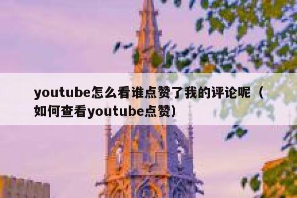 youtube怎么看谁点赞了我的评论呢(如何查看youtube点赞) 第1张 youtube怎么看谁点赞了我的评论呢(如何查看youtube点赞) 第1张