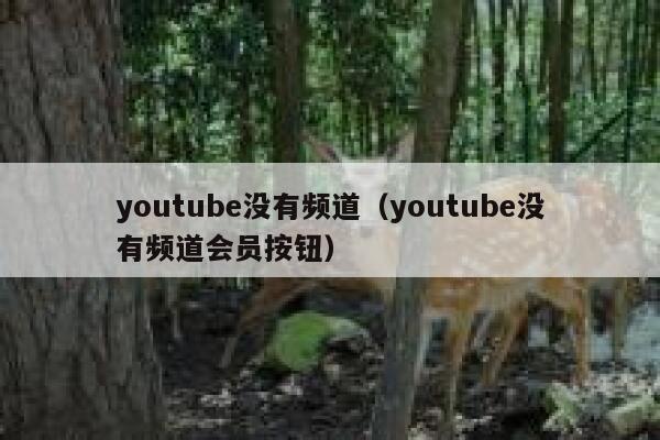 youtube没有频道(youtube没有频道会员按钮) 第1张 youtube没有频道(youtube没有频道会员按钮) 第1张