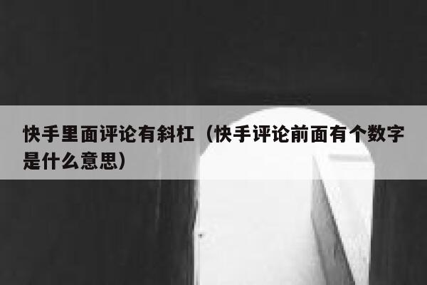 快手里面评论有斜杠(快手评论前面有个数字是什么意思) 第1张 快手里面评论有斜杠(快手评论前面有个数字是什么意思) 第1张