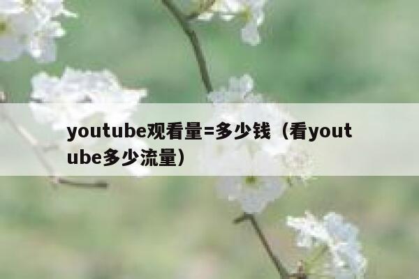 youtube观看量=多少钱(看youtube多少流量) 第1张 youtube观看量=多少钱(看youtube多少流量) 第1张