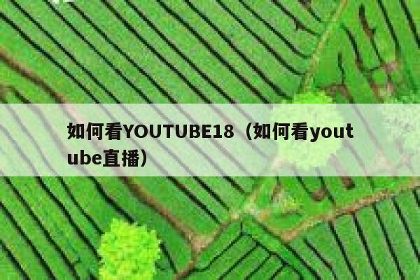 如何看YOUTUBE18（如何看youtube直播） 第1张