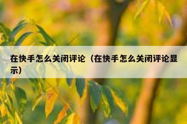 在快手怎么关闭评论（在快手怎么关闭评论显示） 第1张