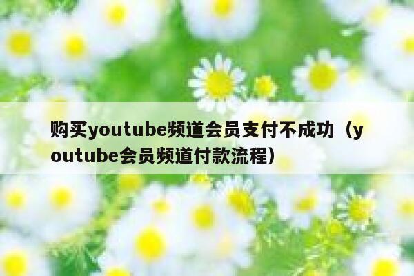 购买youtube频道会员支付不成功（youtube会员频道付款流程） 第1张