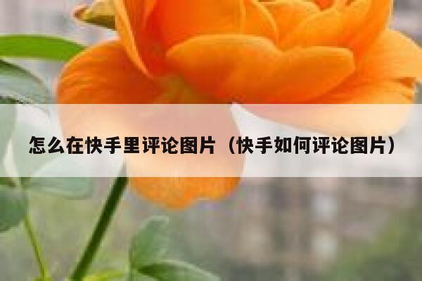 怎么在快手里评论图片（快手如何评论图片） 第1张