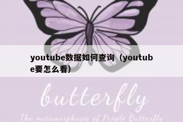 youtube数据如何查询（youtube要怎么看） 第1张
