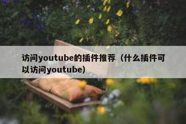 访问youtube的插件推荐（什么插件可以访问youtube） 第1张
