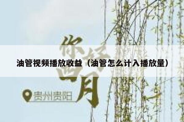 油管视频播放收益(油管怎么计入播放量) 第1张 油管视频播放收益(油管怎么计入播放量) 第1张