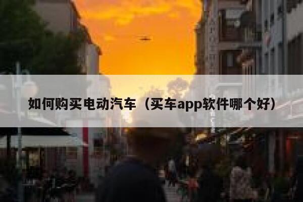 如何购买电动汽车（买车app软件哪个好） 第1张