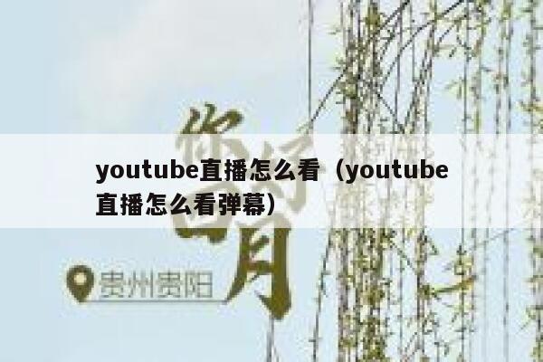 youtube直播怎么看(youtube直播怎么看弹幕) 第1张 youtube直播怎么看(youtube直播怎么看弹幕) 第1张