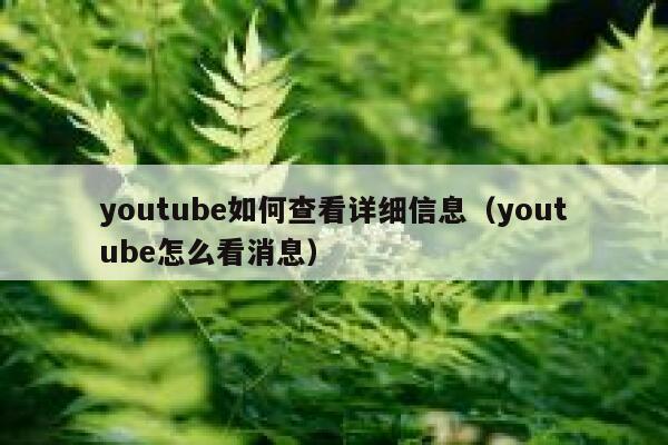 youtube如何查看详细信息（youtube怎么看消息） 第1张