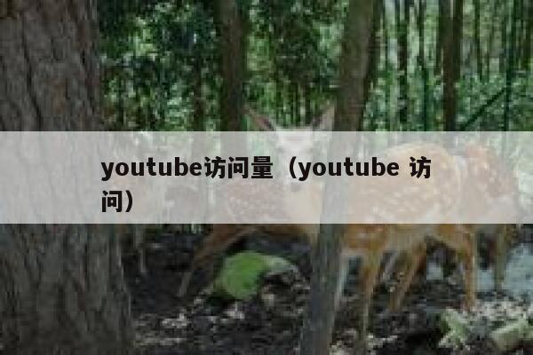 youtube访问量（youtube 访问） 第1张