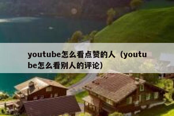 youtube怎么看点赞的人（youtube怎么看别人的评论） 第1张