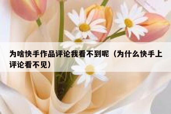为啥快手作品评论我看不到呢（为什么快手上评论看不见） 第1张