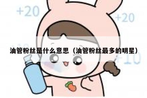 油管粉丝是什么意思(油管粉丝最多的明星) 第1张 油管粉丝是什么意思(油管粉丝最多的明星) 第1张