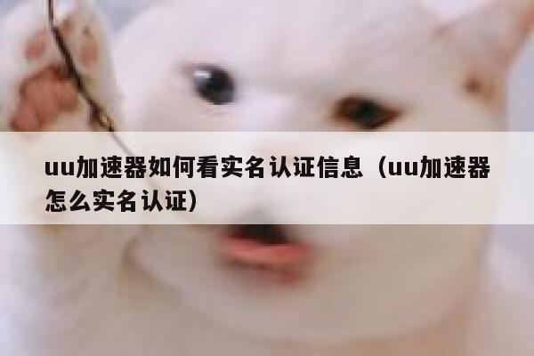 uu加速器如何看实名认证信息（uu加速器怎么实名认证） 第1张