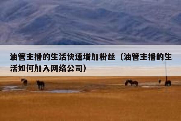 油管主播的生活快速增加粉丝（油管主播的生活如何加入网络公司） 第1张