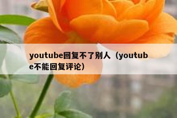 youtube回复不了别人（youtube不能回复评论） 第1张