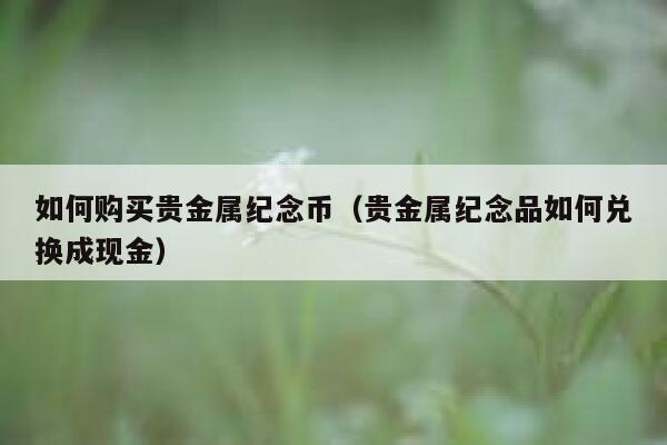 如何购买贵金属纪念币（贵金属纪念品如何兑换成现金） 第1张