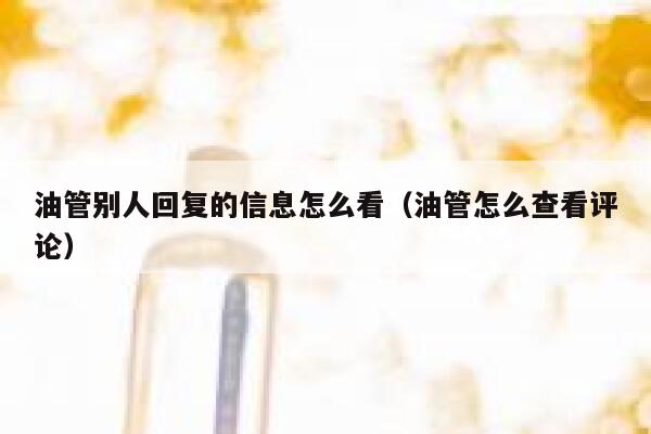 油管别人回复的信息怎么看（油管怎么查看评论） 第1张