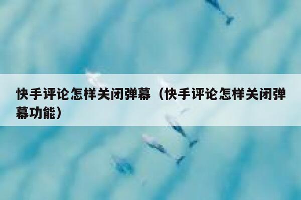 快手评论怎样关闭弹幕（快手评论怎样关闭弹幕功能） 第1张