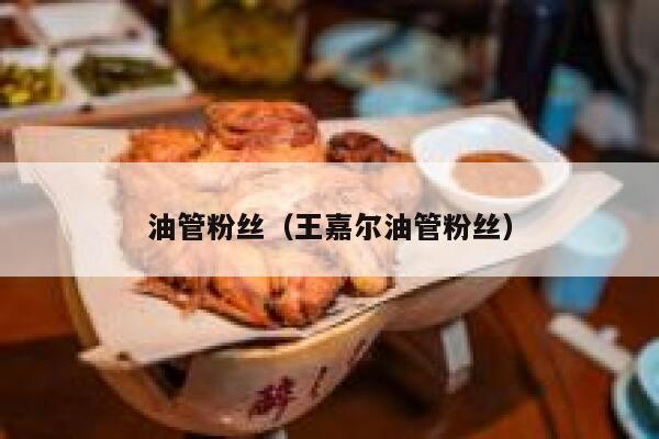 油管粉丝（王嘉尔油管粉丝） 第1张