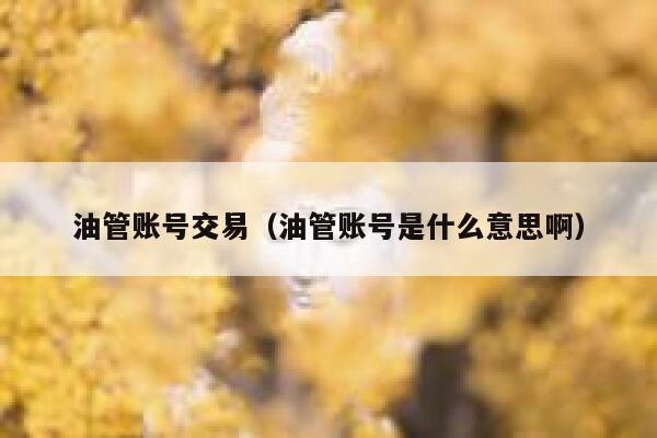 油管账号交易（油管账号是什么意思啊） 第1张