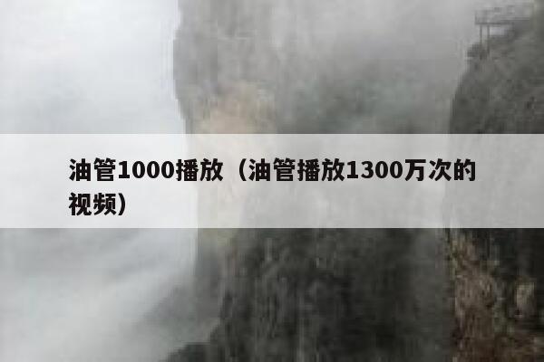 油管1000播放（油管播放1300万次的视频） 第1张