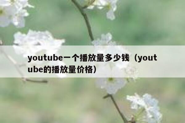 youtube一个播放量多少钱（youtube的播放量价格） 第1张