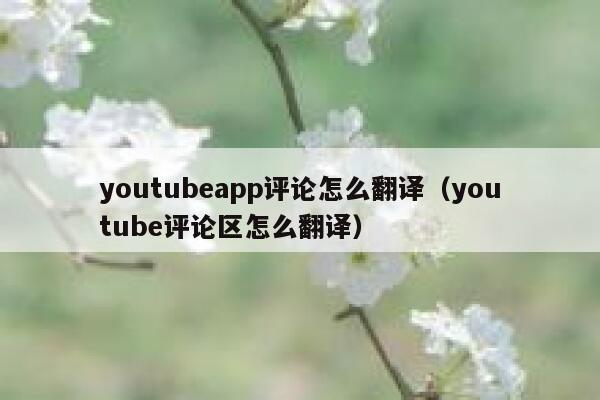 youtubeapp评论怎么翻译（youtube评论区怎么翻译） 第1张