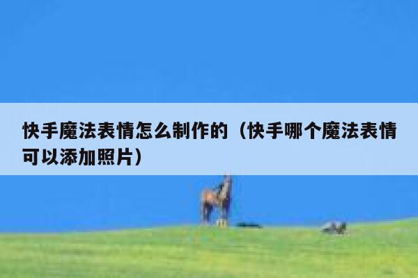 快手魔法表情怎么制作的（快手哪个魔法表情可以添加照片） 第1张