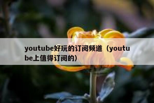 youtube好玩的订阅频道（youtube上值得订阅的） 第1张