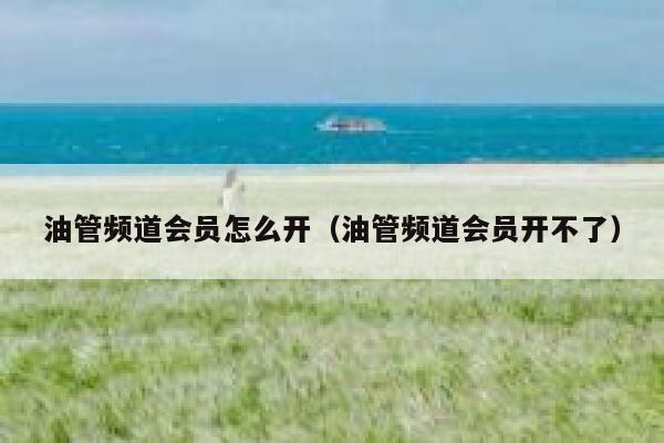 油管频道会员怎么开（油管频道会员开不了） 第1张