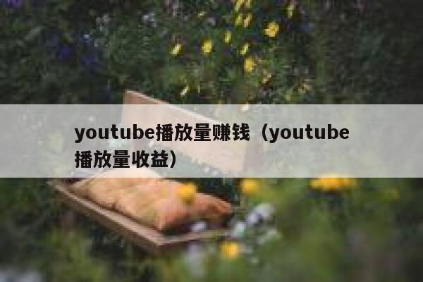 youtube播放量赚钱（youtube播放量收益） 第1张