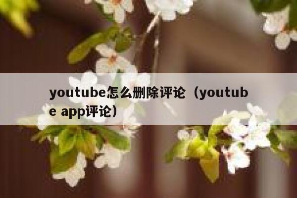 youtube怎么删除评论（youtube app评论） 第1张