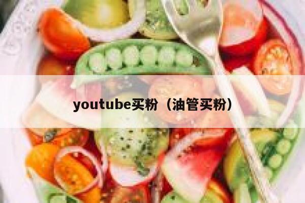 youtube买粉（油管买粉） 第1张