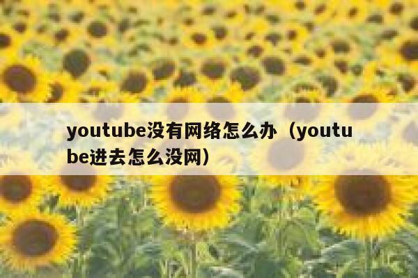 youtube没有网络怎么办（youtube进去怎么没网） 第1张
