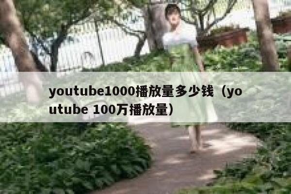 youtube1000播放量多少钱（youtube 100万播放量） 第1张