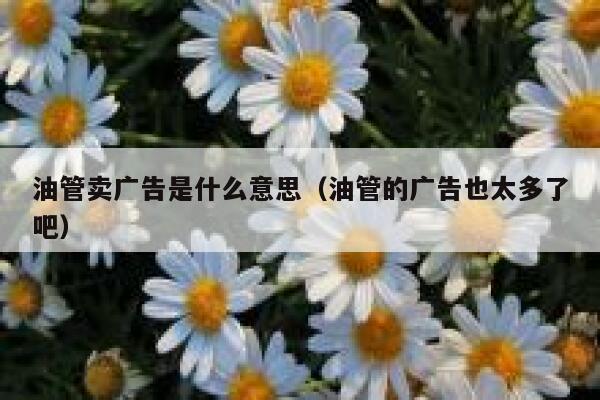 油管卖广告是什么意思（油管的广告也太多了吧） 第1张
