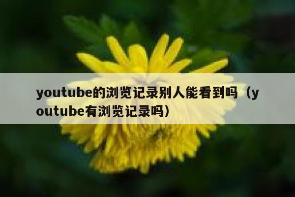 youtube的浏览记录别人能看到吗（youtube有浏览记录吗） 第1张
