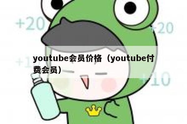 youtube会员价格（youtube付费会员） 第1张