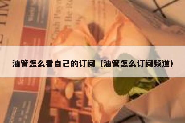 油管怎么看自己的订阅（油管怎么订阅频道） 第1张