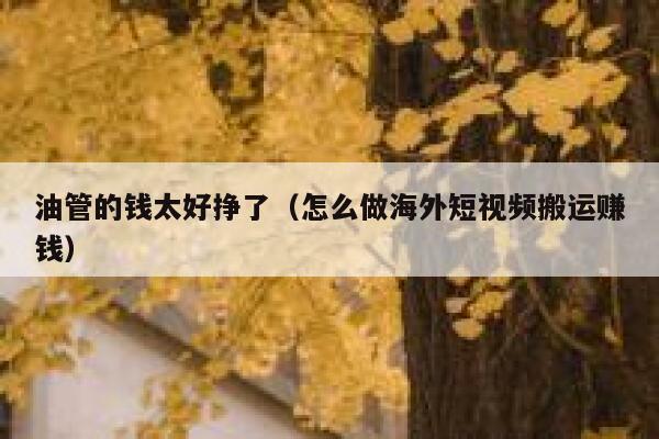 油管的钱太好挣了（怎么做海外短视频搬运赚钱） 第1张