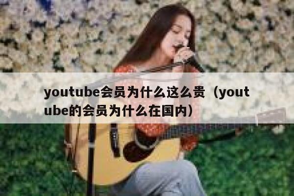 youtube会员为什么这么贵（youtube的会员为什么在国内） 第1张