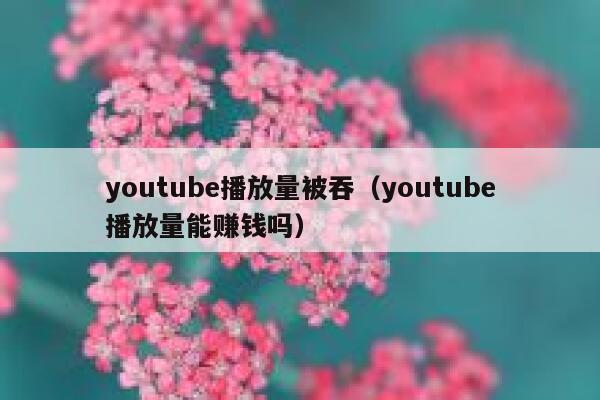 youtube播放量被吞（youtube播放量能赚钱吗） 第1张