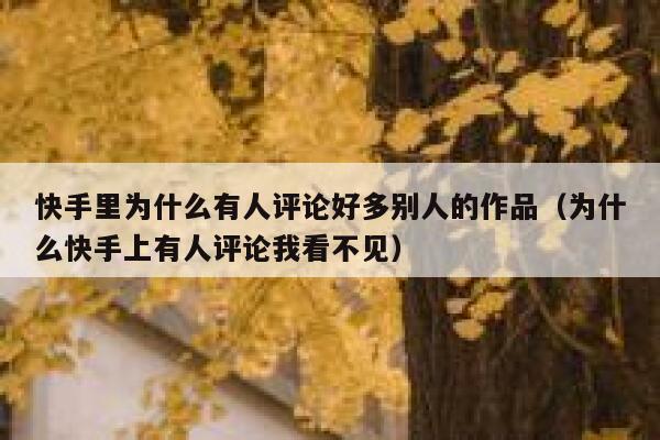 快手里为什么有人评论好多别人的作品（为什么快手上有人评论我看不见） 第1张