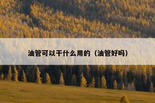 油管可以干什么用的（油管好吗） 第1张