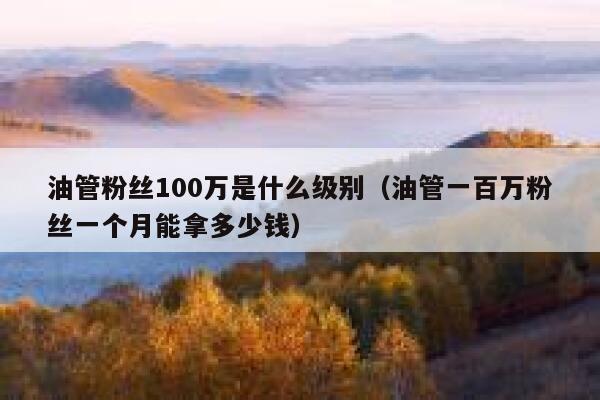 油管粉丝100万是什么级别（油管一百万粉丝一个月能拿多少钱） 第1张