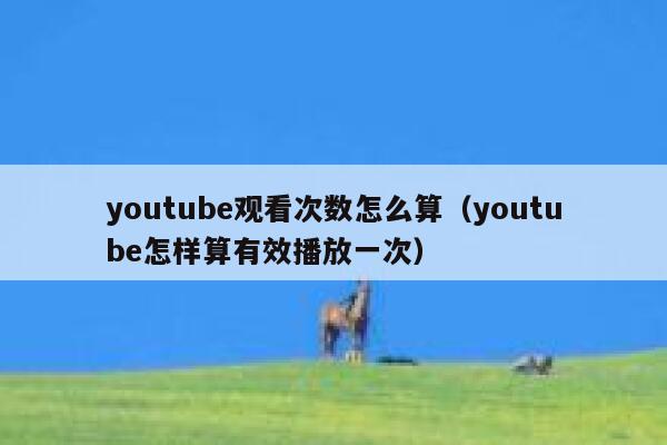 youtube观看次数怎么算（youtube怎样算有效播放一次） 第1张