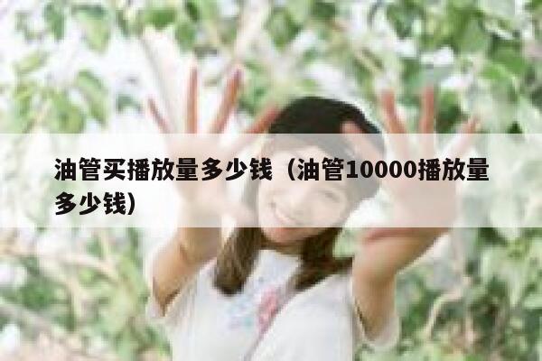 油管买播放量多少钱（油管10000播放量多少钱） 第1张