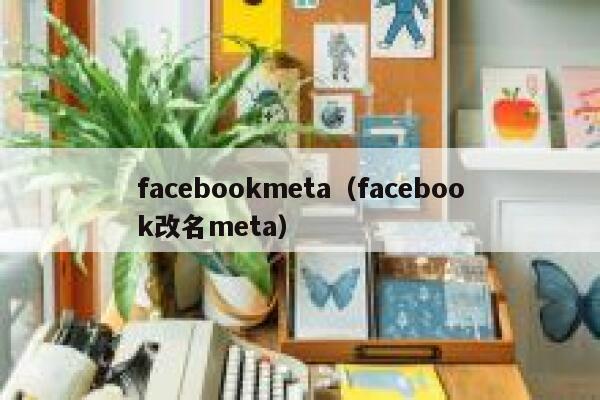 facebookmeta（facebook改名meta） 第1张